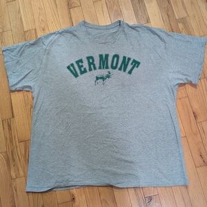 Simple Graphic Vermont T-shirt In Soft Heathered Grey